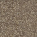 pecan sgl 343